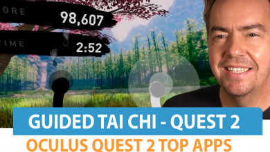 Guided Tai Chi Oculus Quest 2